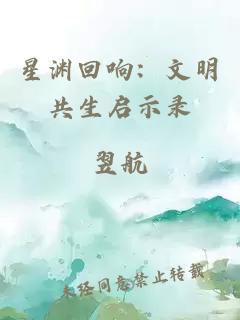 星渊回响：文明共生启示录