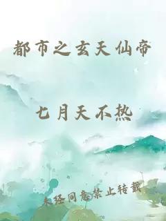 都市之玄天仙帝